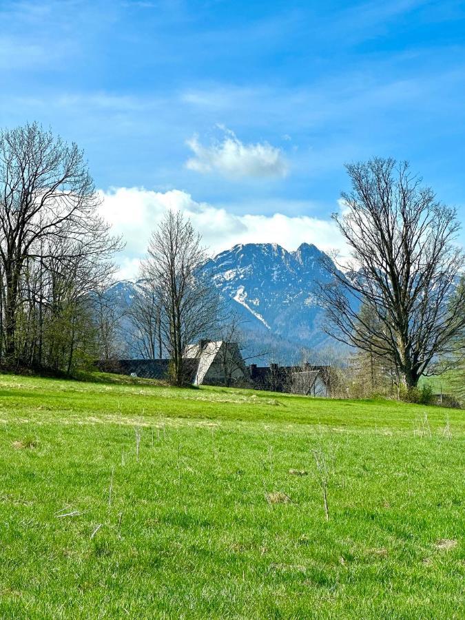 Willa Ale Zakopane Zewnętrze zdjęcie